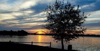 Overlooking water in Delaware with tree by the water